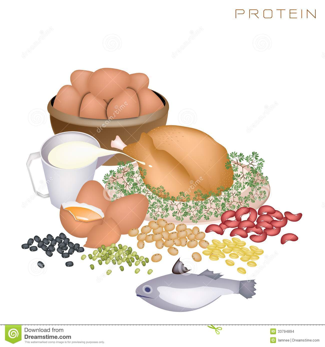 Protein Foods To Improve Nutrient Intake And Health Benefits Protein