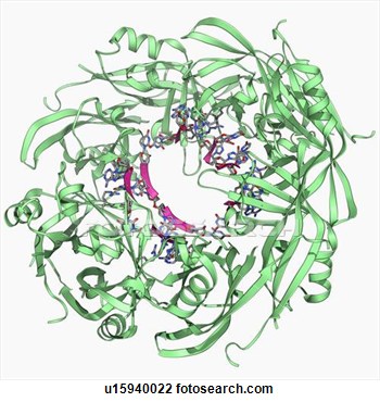 Protein Structure Clipart Clip Art   Ebola Matrix