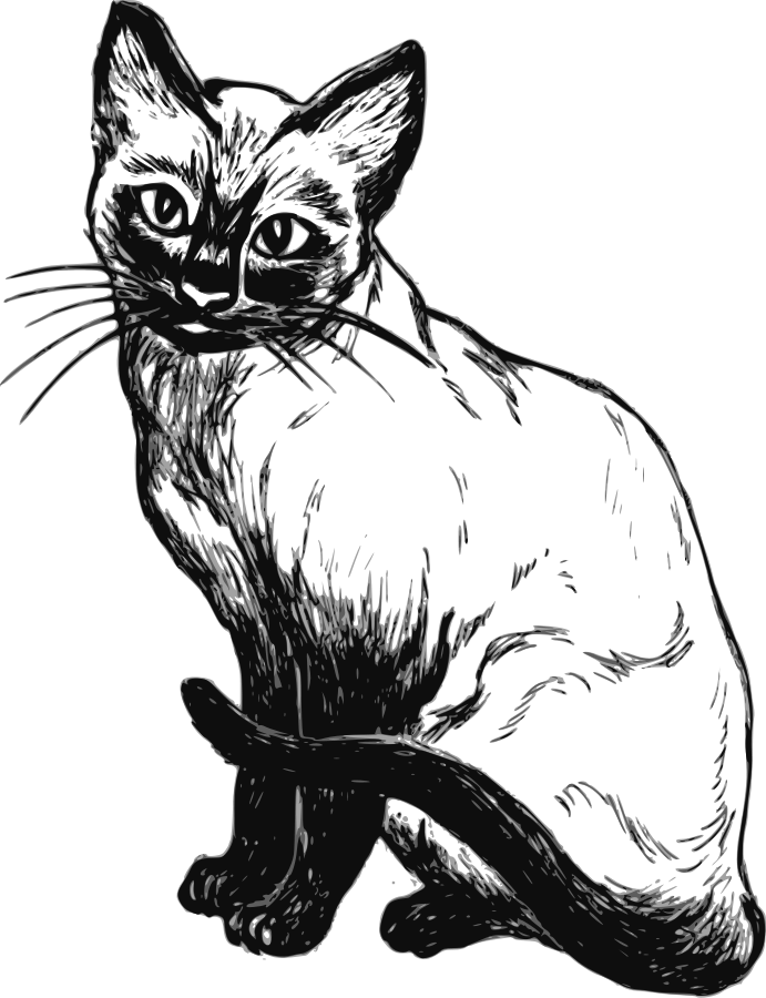 Siamese Cat Clipart Large Size