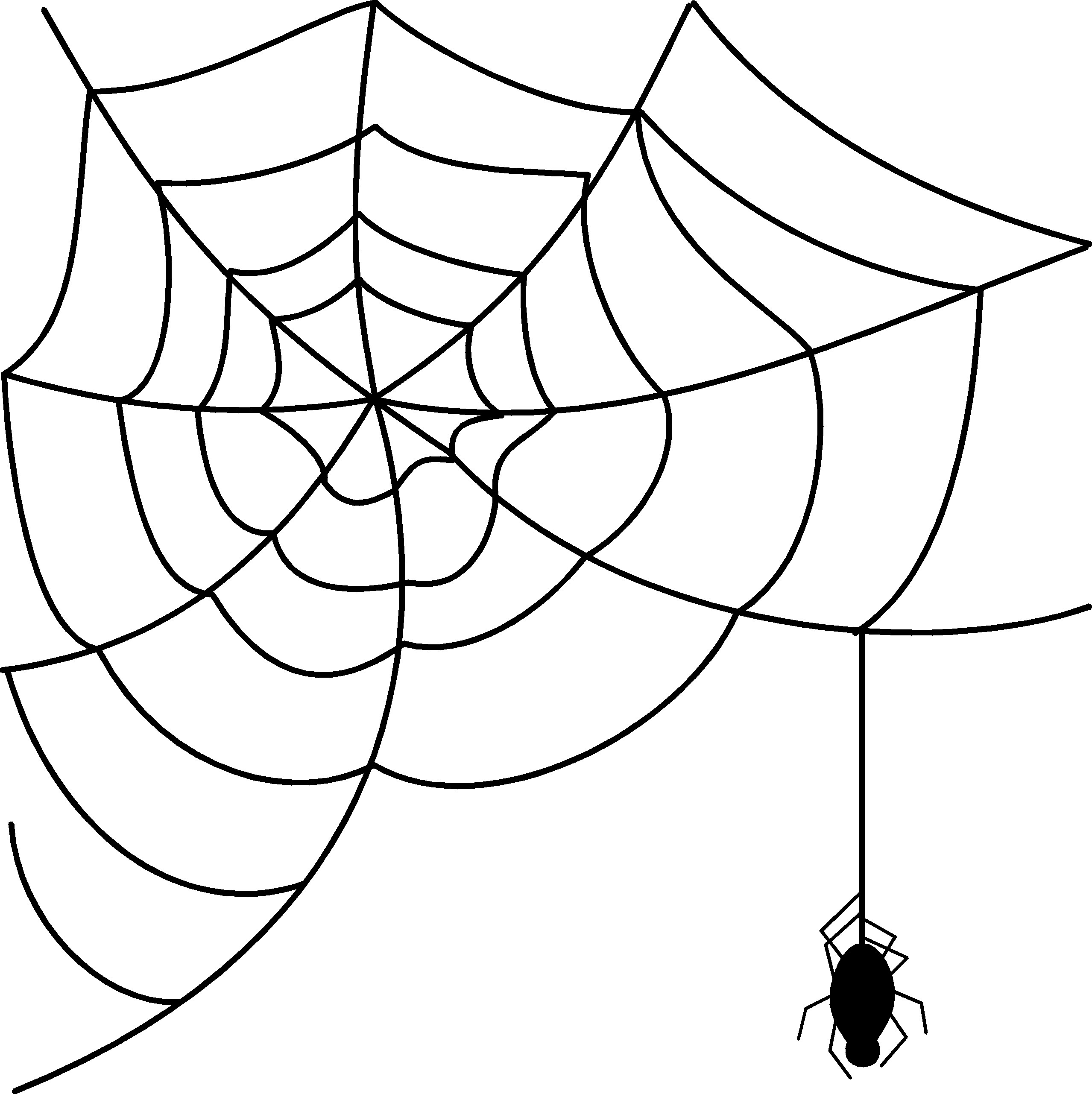Spider Web Clip Art   Viewing