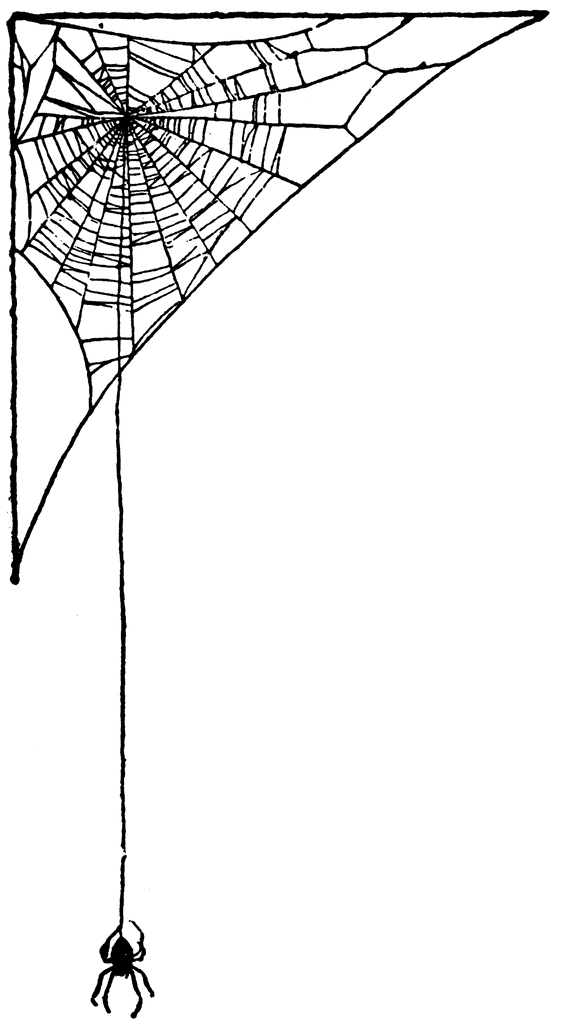 Spider Web   Clipart Etc