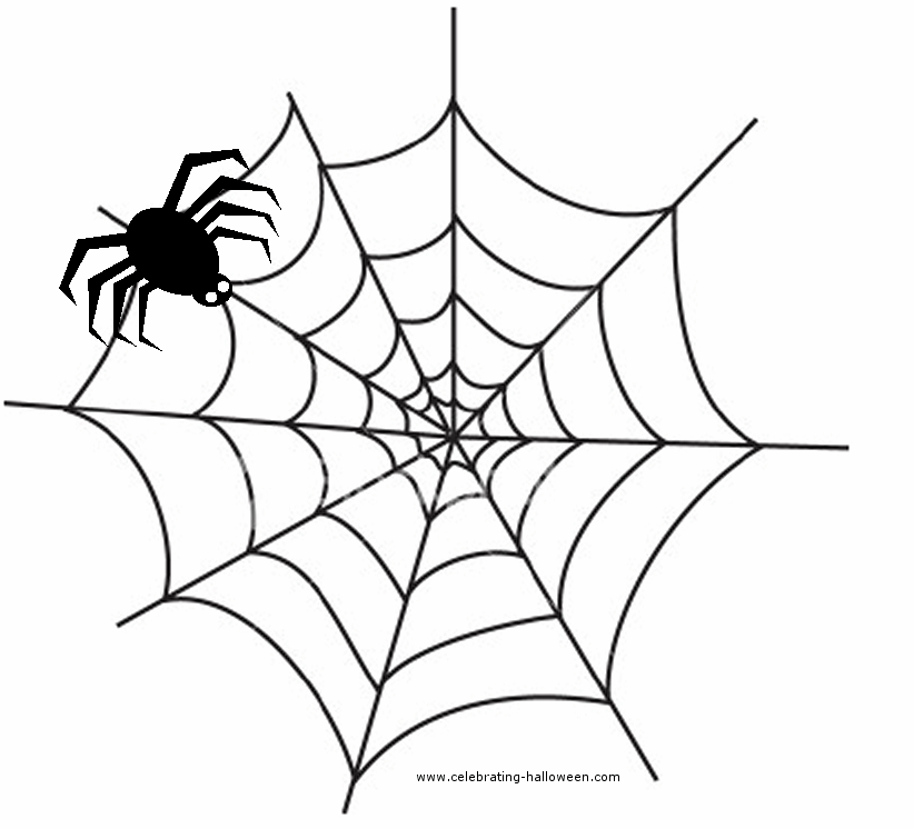 Spider Web Clipart Images   Pictures   Becuo
