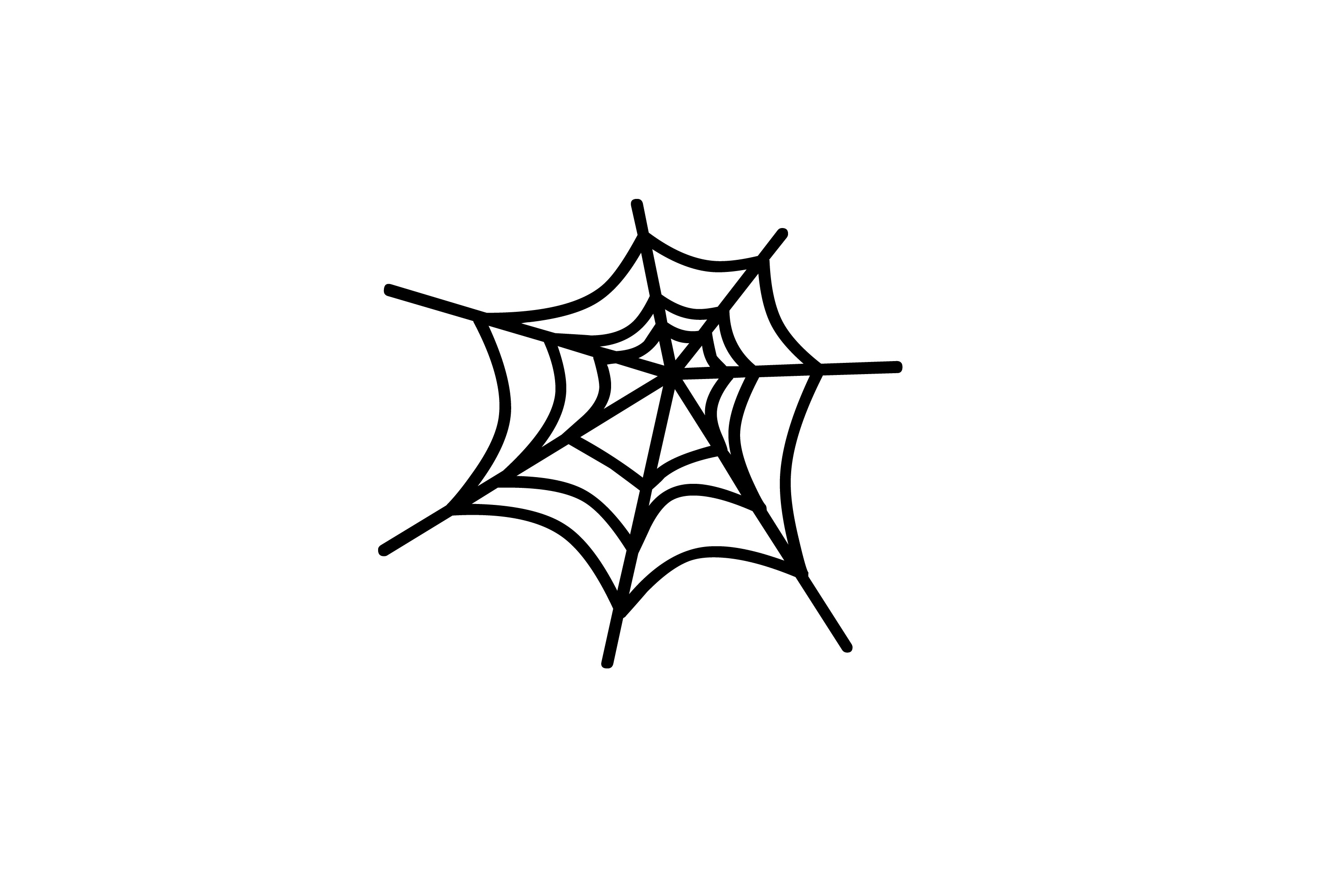 Spiderweb Clip Art