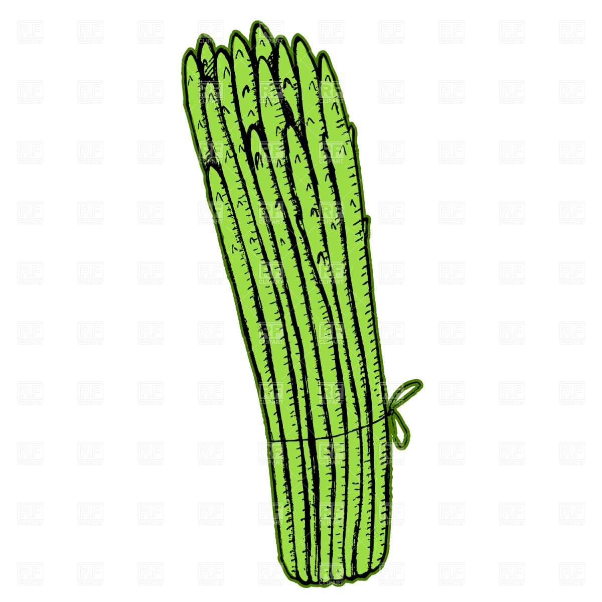 Asparagus 1540 Food And Beverages Download Royalty Free Vector Clip