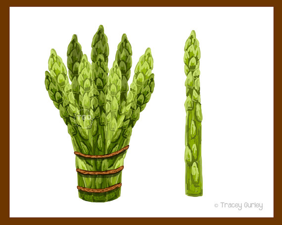 Asparagus Clip Art   Original Art Download 2 Images   4 Files