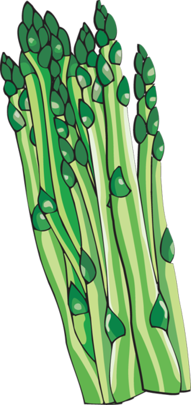Asparagus Clipart Images   Pictures   Becuo