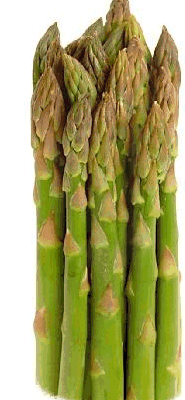 Asparagus Graphics And Animated Gifs  Asparagus