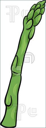 Asparagus Vegetable Cartoon Illustration Illustration  Clip Art To
