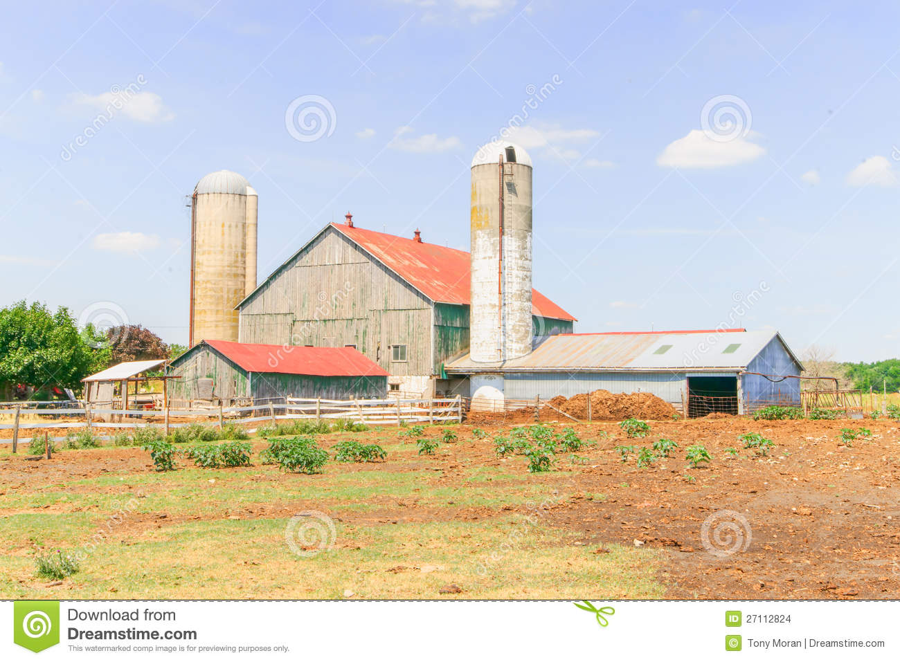 Dairy Farm In Ontario Canada Stock Images   Image  27112824