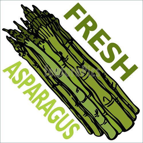 Fresh Asparagus Illustration  Clip Art To Download At Featurepics Com