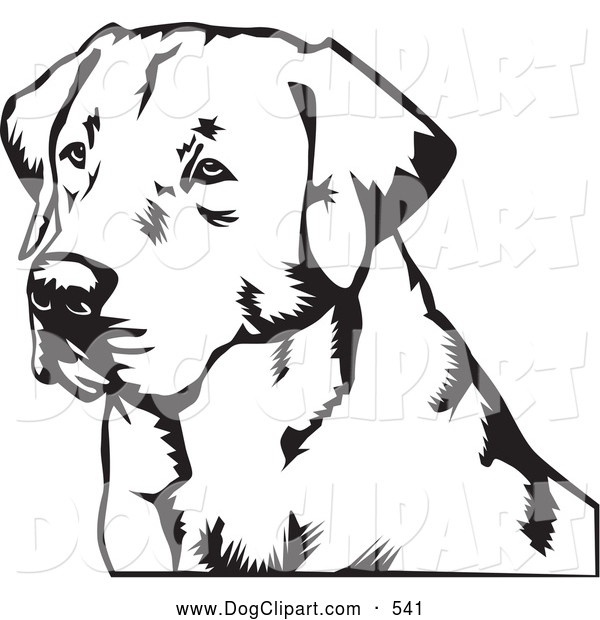 Labrador Retriever Dog Canine Dog Clip Art David Rey