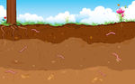 Layer Of Soil   Illustration Of Inner Layer Of Soli With