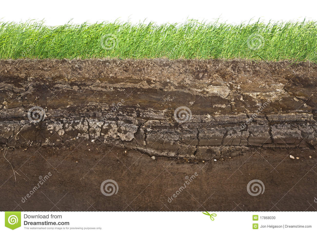 Layers Of Soil Clipart Grass And Soil Layers Isolated