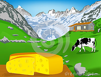Natural Swiss Dairy Cheese Stock Images   Image  29524884