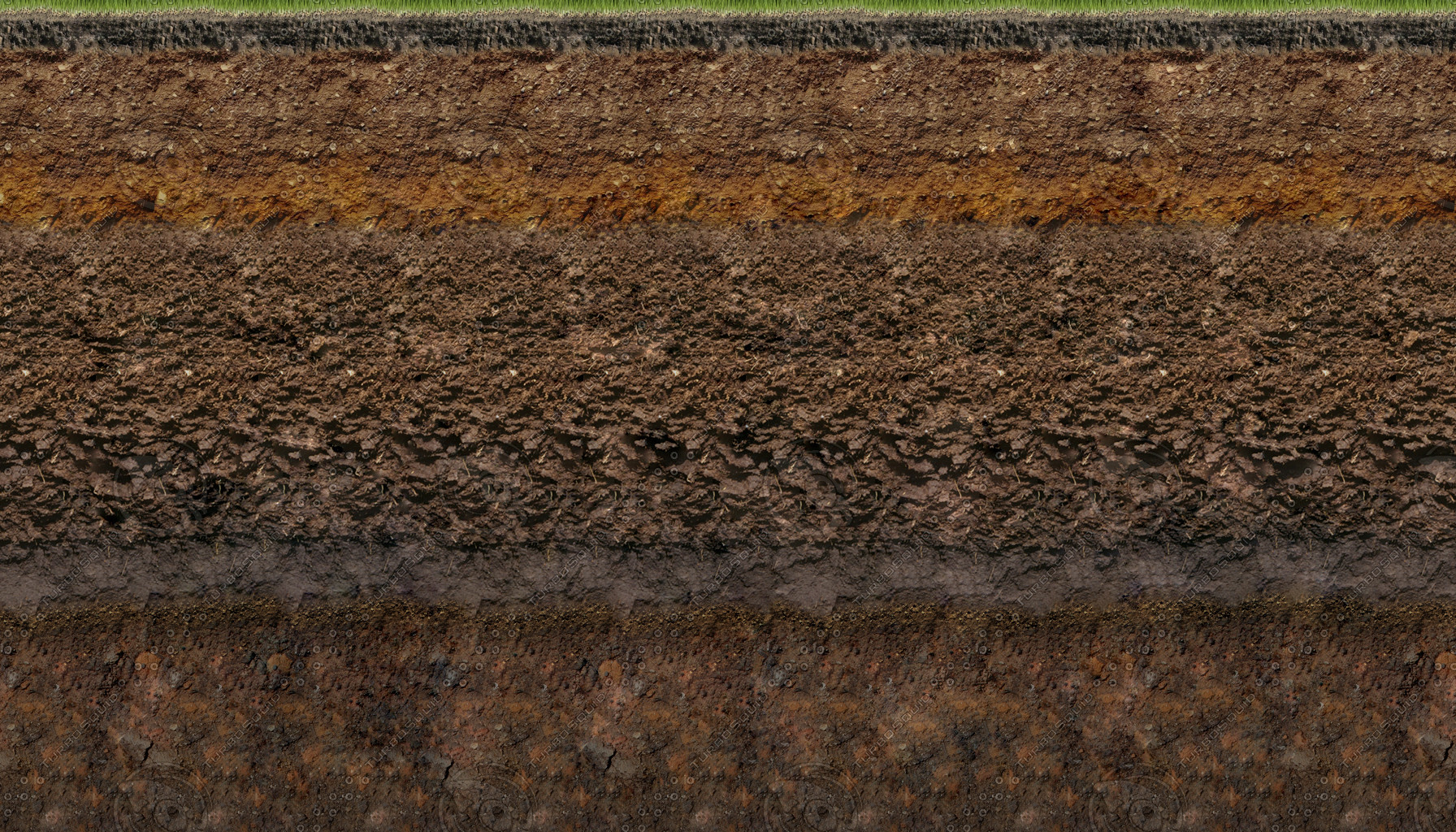 Texture Jpg Grass Soil Layer