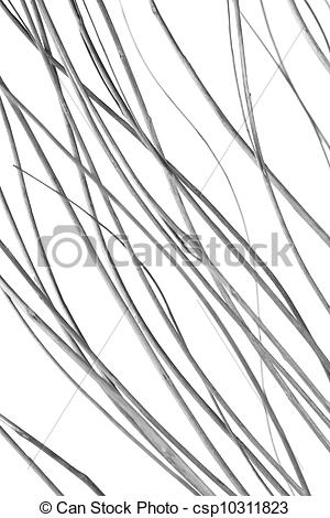 Twig Clip Art Black And White Black And White Graphic Lines