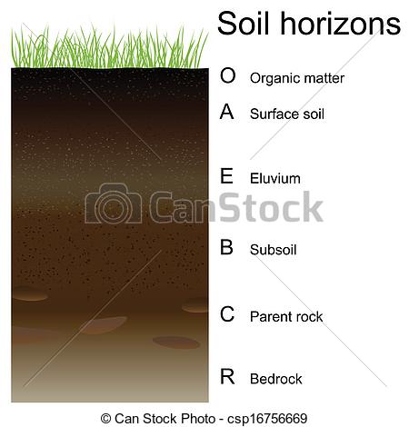 Vector   Vector Illustration Of Soil Horizons  Layers    Stock