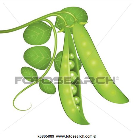 Clip Art Of Green Peas K6865889   Search Clipart Illustration Posters