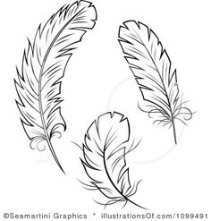 Feather Outline Clip Art   Feather Clip Art  Rf  Feathers Clipart More