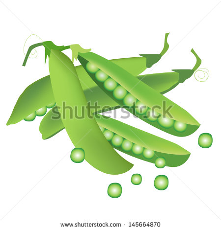 Green Peas Clip Art Free Vector