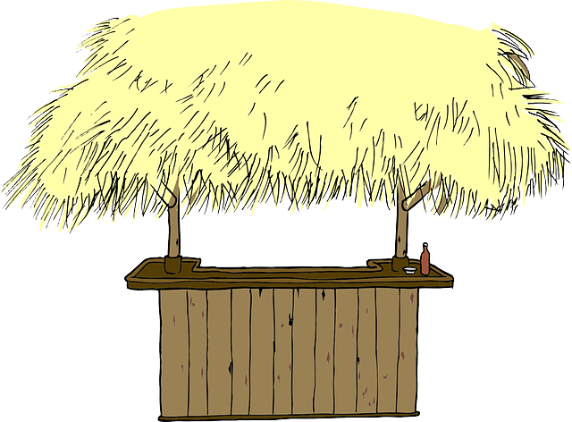 Hut Straw Roof Beach Bar Counter Tropical