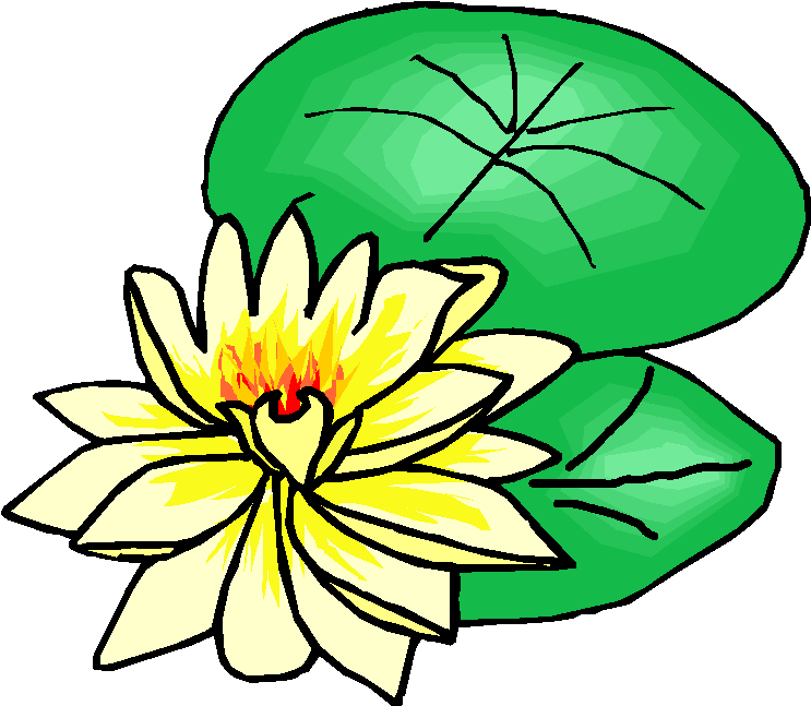 Lotus Flower Free Clipart Get This Lotus Flower Free Clipart