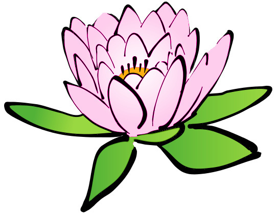 Lotus Flower Pink   Http   Www Wpclipart Com Plants Flowers Lotus