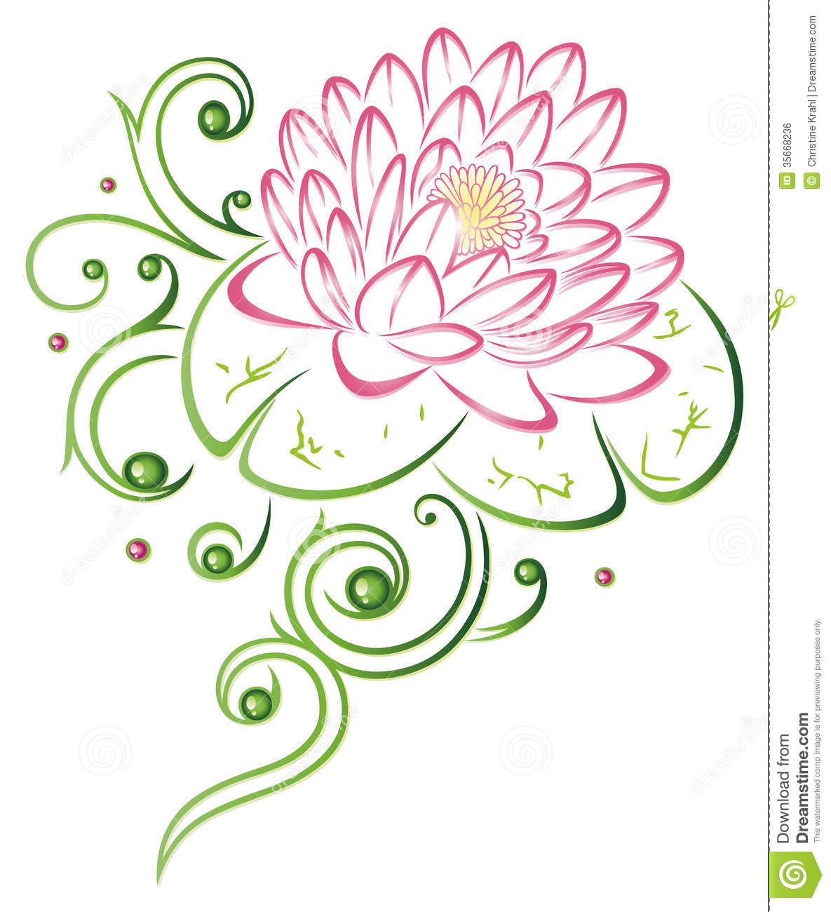 Lotus Flower Royalty Free Stock Image   Image  35668236