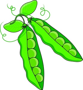 Pea Clipart Two Pea Pods With Nice Fresh Green Peas 0515 1006 1906