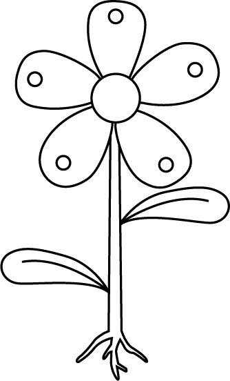 Unlabeled Flower Diagram   Clipart Best