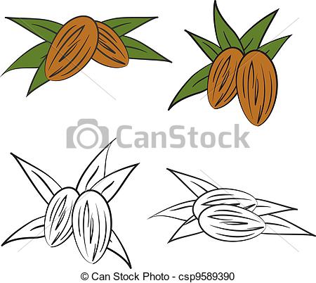 Vector Clipart Of Almond With Leaves Vector Csp9589390   Search Clip    