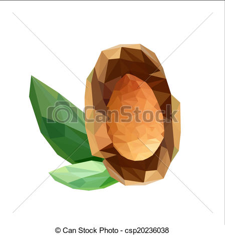 Vector   Illustration Of Geometric Polygonal Almond Seeds With Green