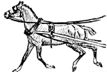Horse Drawn Transportation   Clipart Etc