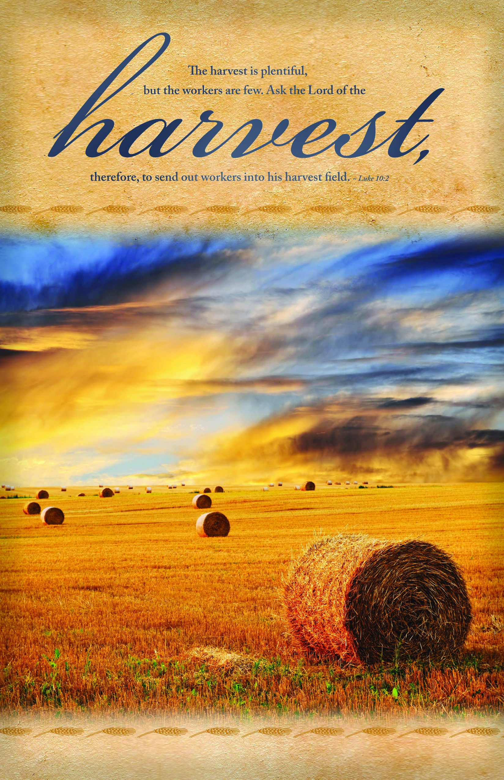 Plentiful Harvest   Cross Way Christian Supply