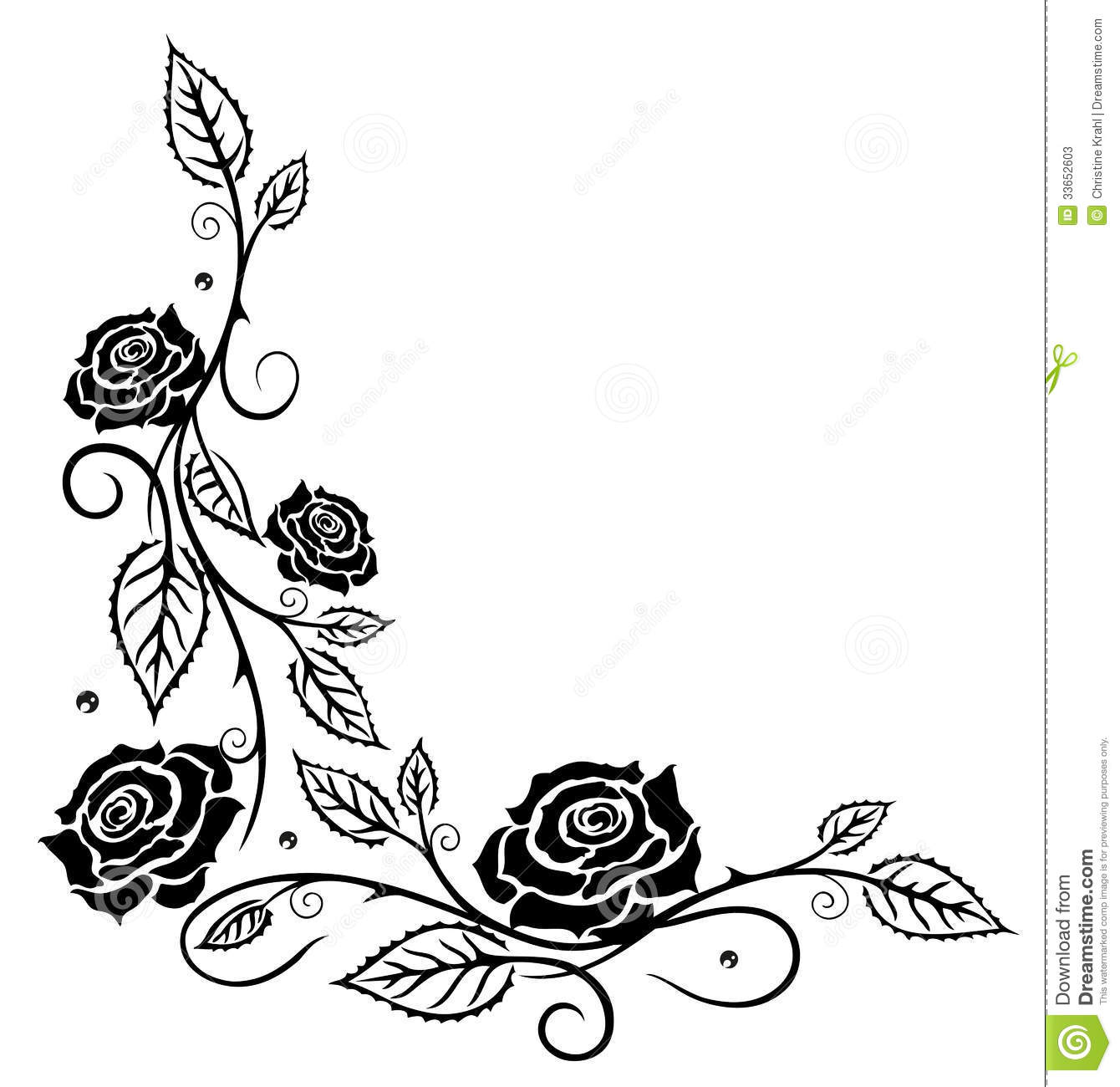 Roses Leaves Flowers Stock Photos   Image  33652603