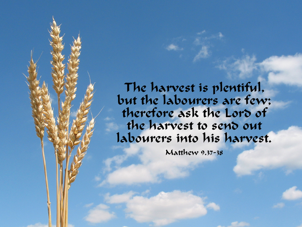 The Harvest To Send Out Labourers Into His Harvest     Matthew 9 37 38