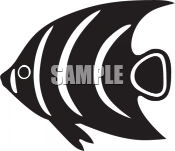 Color Pages Tropical Fish Clipart   Cliparthut   Free Clipart