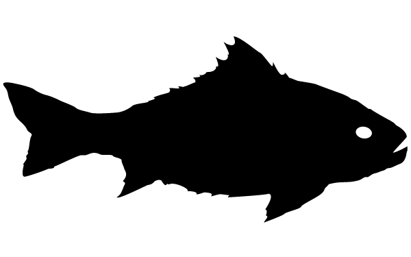 Fish Silhouette Clip Art Image   123freevectors