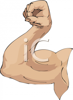 Free Clip Art Image  Male Arm Making A Muscle With A Large Biceps