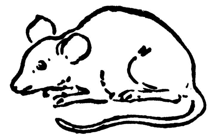 Mice Clipart Images   Pictures   Becuo