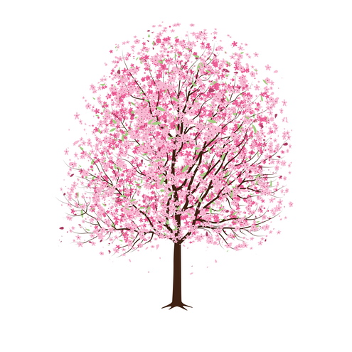 Pink Cherry Blossom Tree Vector   Dragonartz Designs  We Moved To