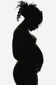 Pregnant Woman Stock Photo Images  1770 Silhouette Pregnant
