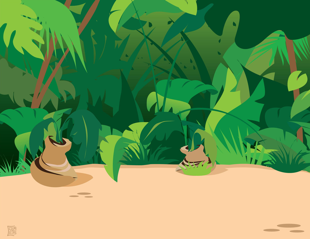 Safari Animal Cartoon Jungle Plants 203482 With Resolutions 1024 790