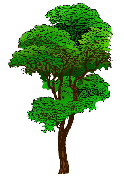 Tree Colorized    Plants Trees Trees 5 Tree Colorized Png Html