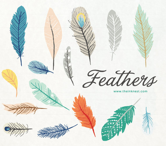Colorful Feather Clip Art Clip Art Feathers For Commercial And    