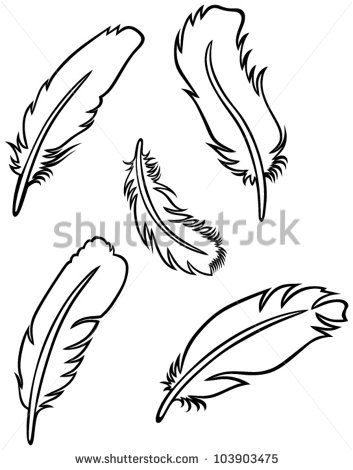 Outline Of Feather