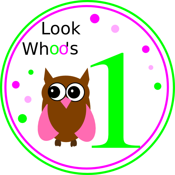 Owl Birthday Clip Art At Clker Com   Vector Clip Art Online Royalty