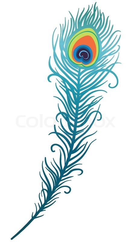 Peacock Feather Drawing Outline