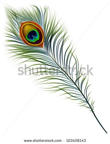 Peacock Stock Photos Images   Pictures   Shutterstock