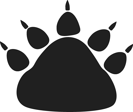 Animal Paw Prints Pictures   Clipart Best